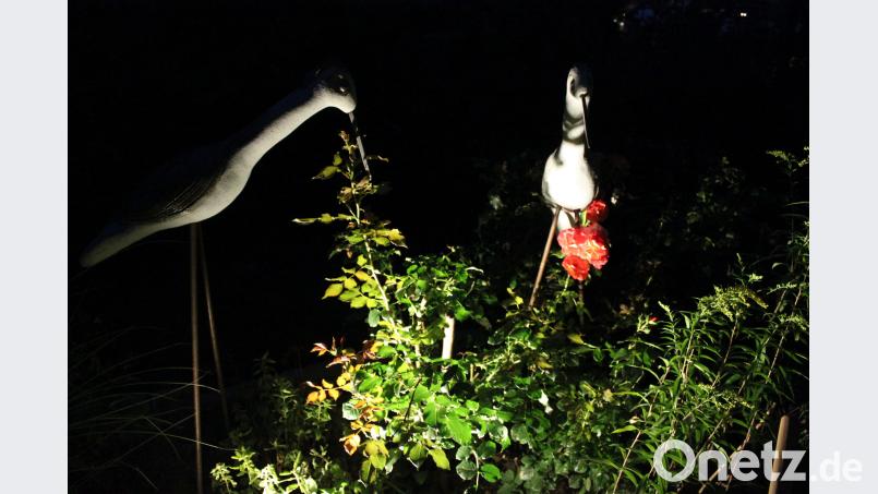 In diesem Terrassenbeet werden zwei Skulpturen durch Licht in Szene gesetzt. Hans Prem