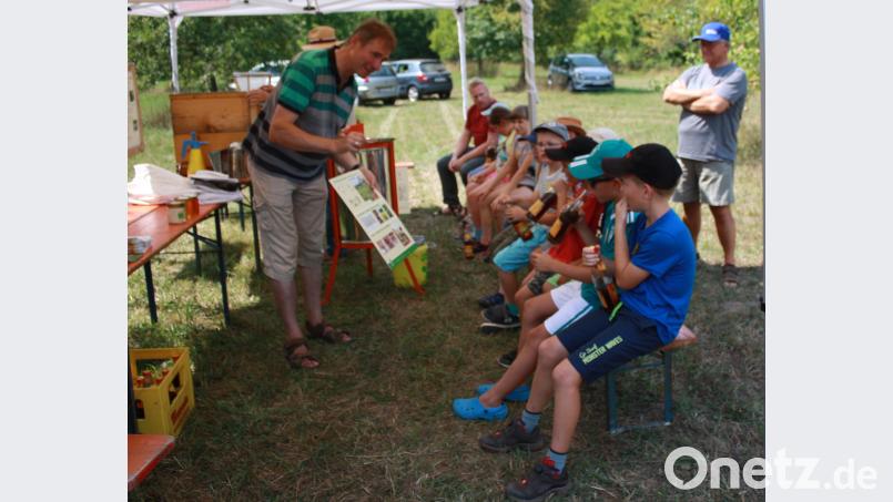 Ferienprogramm: Ein Tag beim Imker. Imkervereins-Vorsitzender Reichl erklärt den Kindern vieles über Bienen. lk