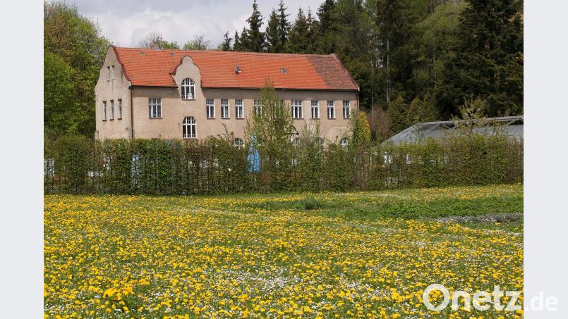 Das Gartenschulhaus im Naturerlebnisgarten des Klosters, davor der in das Gartenschau-Konzept eingebundene Bereich. tr