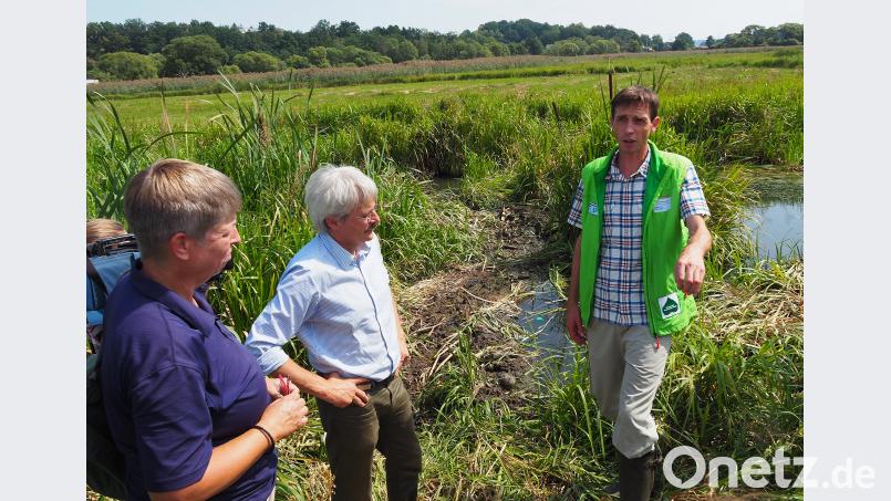 Bibermanager Horst Schwemmer zeigt, wie der Biber lebt. Mit dabei Sigrid Peuser vom LBV Oberpfalz und Richard Mergner, Landesvorsitzender BUND Naturschutz. Bühner