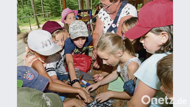 Geschichte zum Anfassen: Die AOVE ermöglicht Kindern einen Ausflug in die Zeit der Kelten. Am Buchberg sammelten die Teilnehmer Material, um sich Talismane zu basteln. psba
