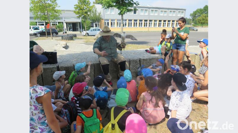 Falkner Beppo Popp vom Greifvogelpark Katharinenberg stellt den Mädchen und Buben den Falken „Sina“ vor. jzk