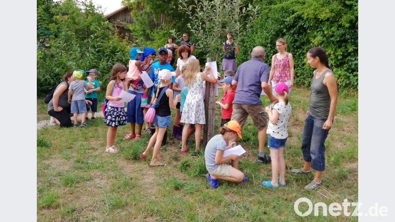 Beim Baumquiz können die Kinder ihr Wissen testen. rpp
