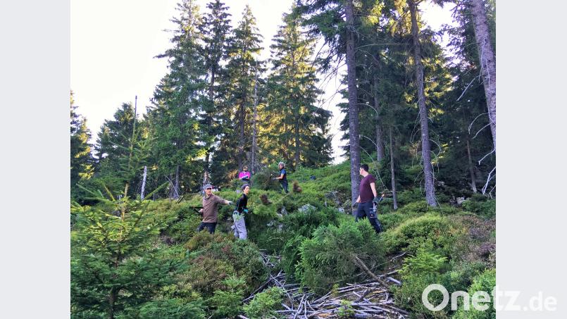 Die Freiwilligen beim Freistellen der Felsen. Alle packen kräftig mit an. exb