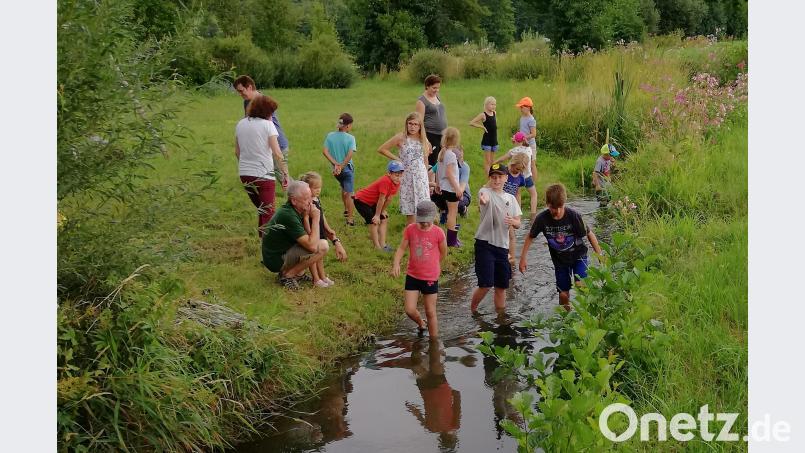 Mit Spannung wird die Ankunft der ersten Holzschifferln im Mühlbach erwartet. rpp