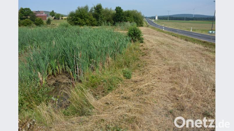 Das Bilde zeigt die ausgemähten Bereiche an der Staatsstraße Konnersreuth nach Arzberg. jr