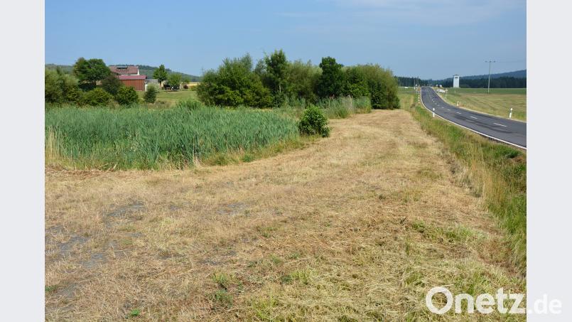 Das Bilde zeigt die ausgemähten Bereiche an der Staatsstraße von Konnersreuth nach Arzberg. jr