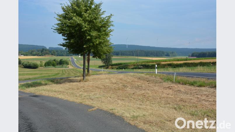Das Bild zeigt die ausgemähten Bereiche an der Staatsstraße von Konnersreuth nach Arzberg. jr