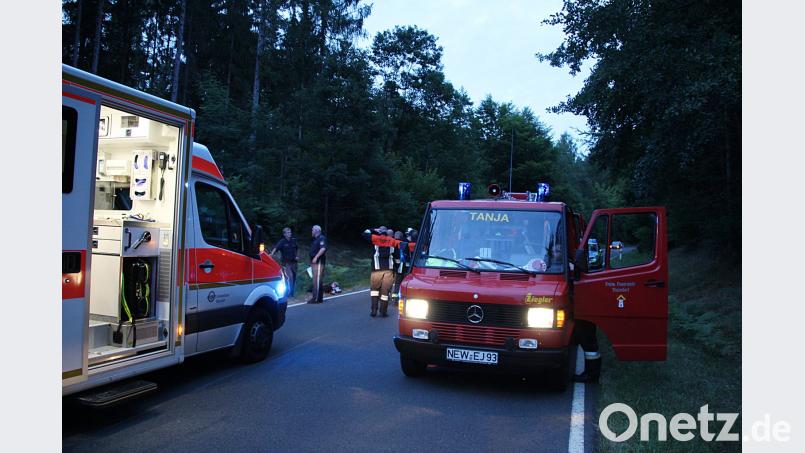 Rehunfall bei Thurndorf. jma