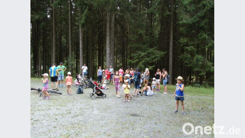 Über eine Stunde lang ist die Gruppe im Wald unterwegs. twg