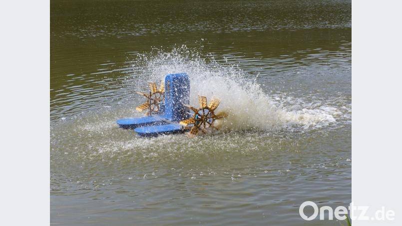 Schaufelradbelüfter wälzen das Wasser um, sorgen für Sauerstoff. Völkl