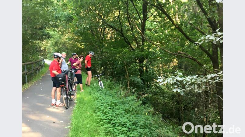Ein steiler Abhang am Bocklradweg in Fahrtrichtung Störnstein macht der SPD Marktratsfraktion Sorgen. Die linke Seite ist gesichert, aber rechts ist ein gewaltiger Abhang. mef