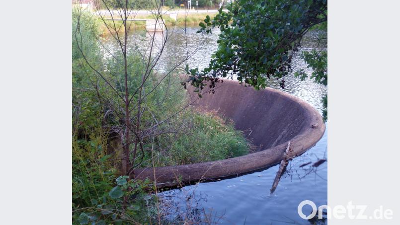Wo fast nichts zufließt, da kann auch nichts abfließen. Der Damm am Röthenbacher Hammerweiher liegt trocken und die Wasserturbine (im Hintergrund der Einlauf) ist abgeschaltet. Die Fische leiden stark unter den hohen Temperaturen und bekommen zu wenig Sauerstoff. jml