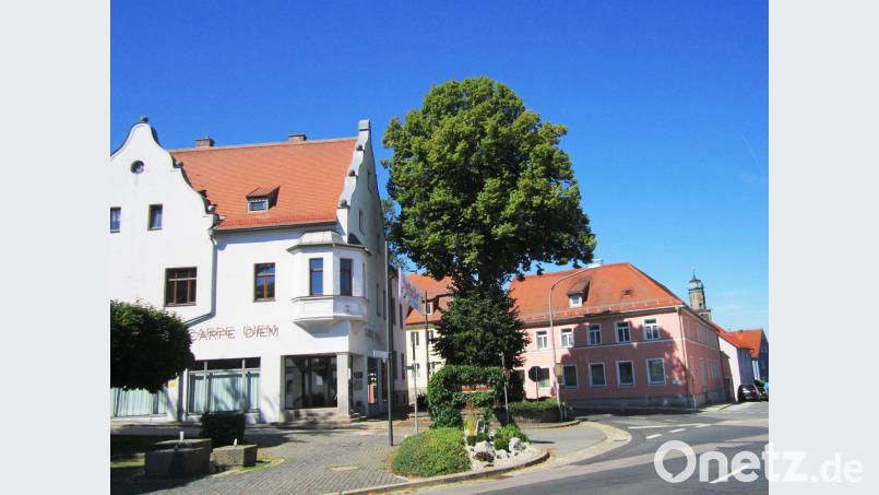 An der „Schöfer“-Kreuzung steht heute die Friedenslinde. Der Baum hat eine 200-jährige Geschichte. dob