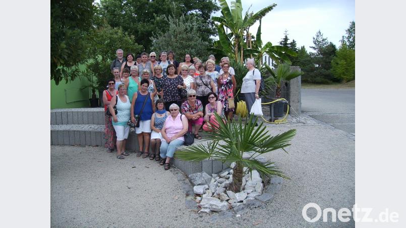 Auch Pfarrer Edmund Prechtl (links hinten) nahm am Bayreut-Ausflug des Burkhardsreuther Frauenbunds teil. Erstes Ziel war der 16 Hektar große Ökologisch-Botanische Garten der Universität mit 12.000 Pflanzenarten aus aller Welt. bjp
