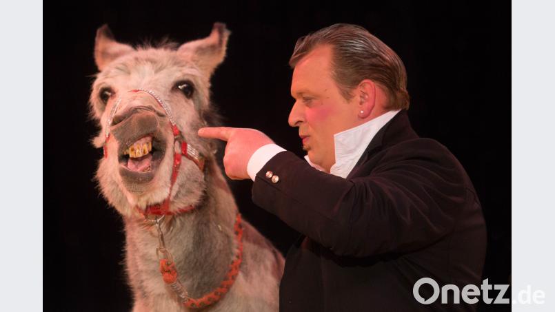 Ein echter Hingucker ist der Esel des „Circus Carelli“ wohl. Und er ist nicht der einzige, der für tierisch Stimmung im Zirkuszelt sorgen will. mte