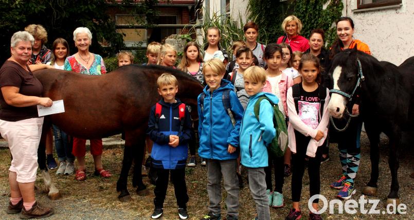Ein Besuch bei der Reitsportgemeinschaft Moosbürg steht für die Kinder beim Ferienprogramm der Arbeiterwohlfahrt auf dem Programm. R. Kreuzer