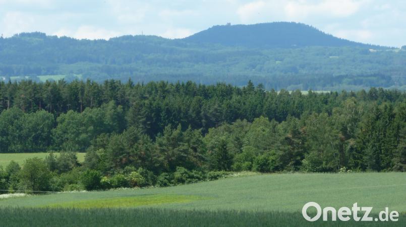Blick auf die Höhenzüge des Böhmerwaldes. Der Paneuropa-Marathon verläuft auf einer landschaftlich reizvollen, aber bergigen Strecke. eib