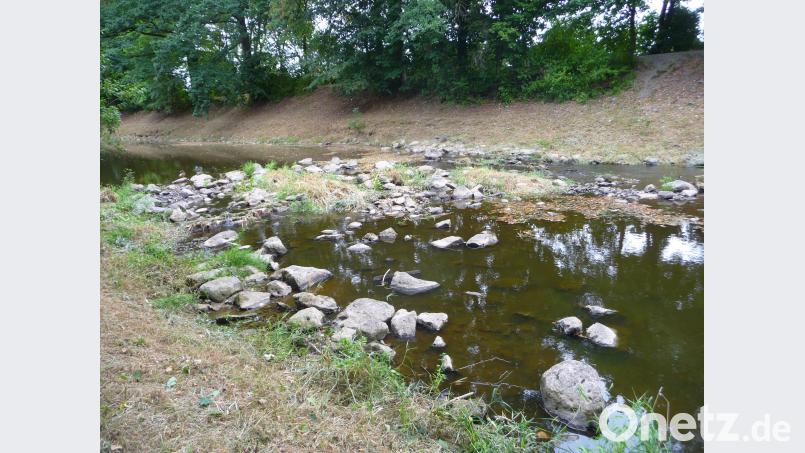 Waldnaab und Flutkanal brauchen unbedingt Regen. Kunz