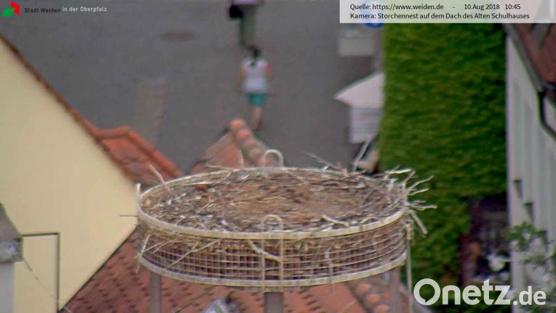 Nein, Sie sehen nicht schlecht. Die Webcam, die aufs Storchennest am Dach des Alten Schulhaus gerichtet ist, wurden aus Datenschutzgründen unscharf gestellt. mte