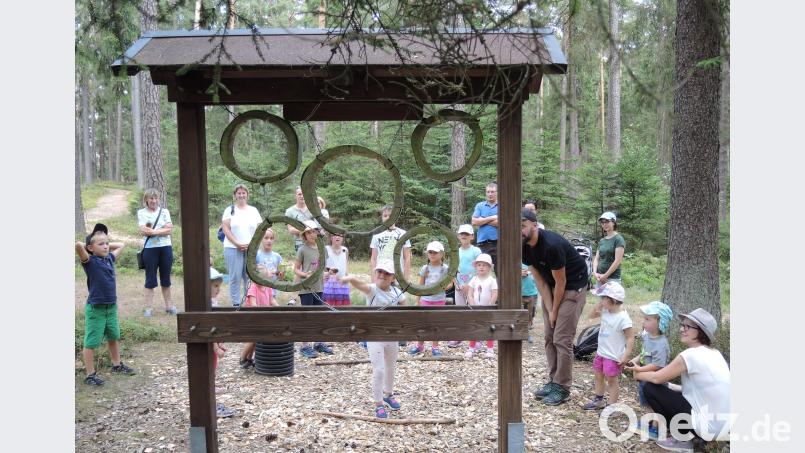 Mit dem Förster unterwegs: So schön kann Wald sein. sm