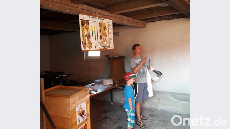 Franz Scharf erklärte den Umgang mit Bienen und die Ausrüstung der Imker. nib