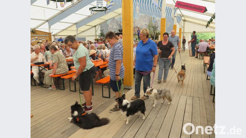 Eine Attraktion beim Seniorennachmittag im Festzelt war die Hundeschau der Hundeschule Popp. jzk