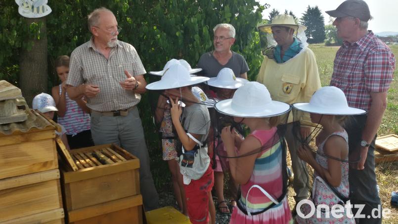 Vorsicht lassen einige Kinder unter ihren Hüten walten, als ein Bienenstock geöffnet wird. fz