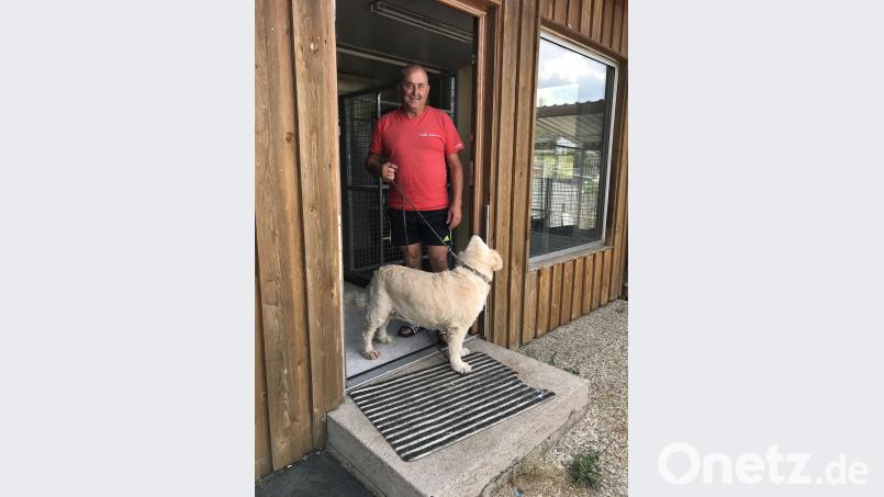 Emma, der alte Golden Retriever, ist seit vielen Jahren Stammgast in der Hundepension von Sigmund Gilch. Gabi Eichl