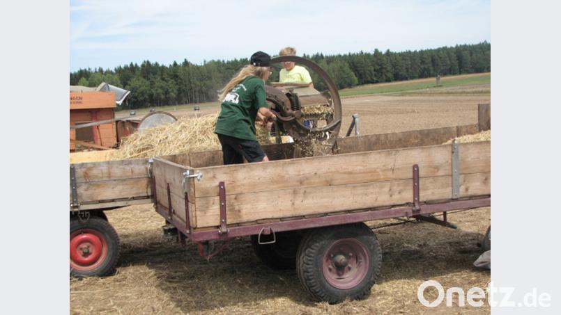 Großen Spaß haben die Kinder an der Strohschneidemaschine. Es ist nur wenig Kraft erforderlich, um die Maschine zu betätigen. knh