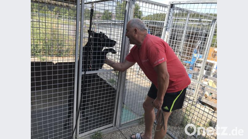 Streicheleinheiten im Vorbeigehen; Sigmund Gilch kennt alle Eigenheiten seiner Gäste. Gabi Eichl