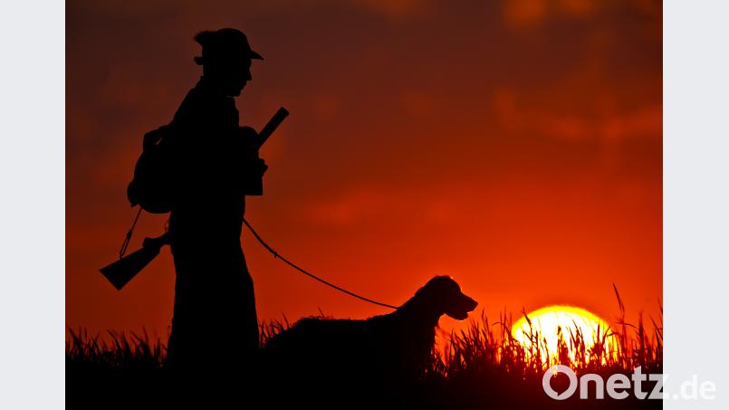 Nach Ansicht der Jagdvereinigung Nittenau ist der 47-Jährige von einem Querschläger getroffen worden. Symbolbild: Patrick Pleul/dpa