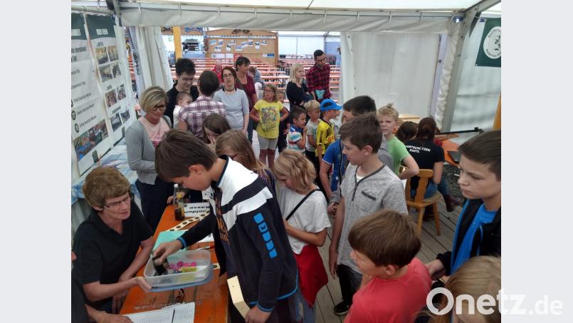 Stets belagertist der Schießstand der Kastler Sportschützen beim Kindernachmittag. rwo