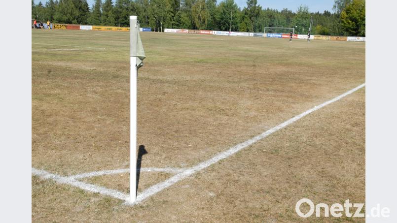 Was für ein Trauerspiel: Der einst so schöne Rasenplatz des SV Plößberg hat sich aufgrund der Trockenheit in eine braune Staubwüste verwandelt. Der Kreisligist hofft inständig auf länger anhaltenden Regen – wie so manch anderer Fußballverein in der Region. gb