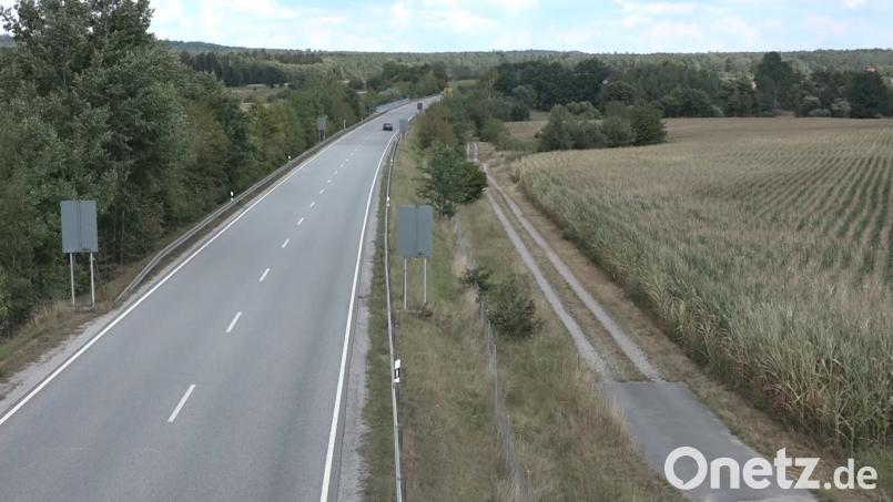Ein Querschläger an einem Maisfeld entlang der B16 tötete wahrscheinlich den 47-Jährigen Mann bei Nittenau. Auer, Alexander