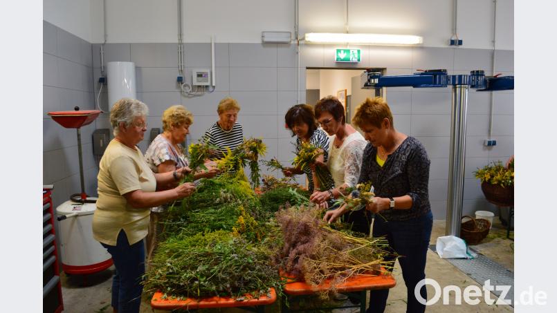 Ehrenamtliche Helferinnen binden an mehreren Tischen die duftenden Kräuterbuschen, der Erlös aus dem Verkauf anlässlich Mariä Himmelfahrt wird gespendet. Sozialdienst katholischer Frauen/exb