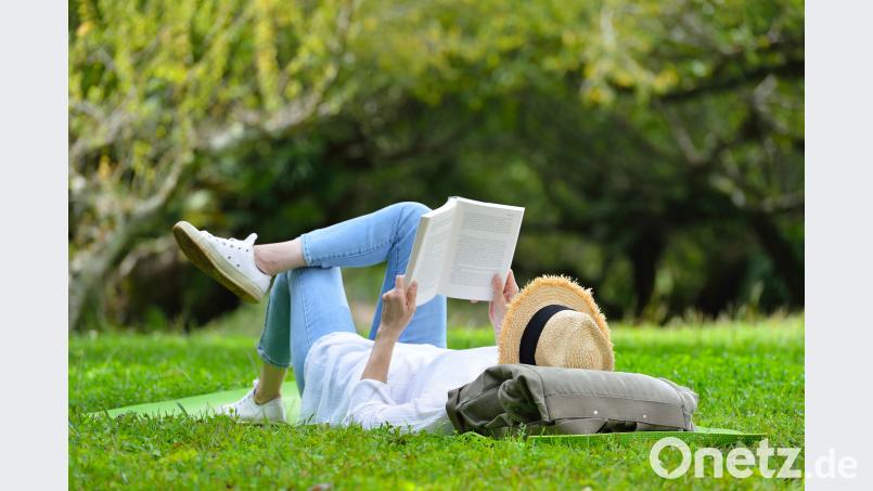 Wann haben Sie sich das letzte Mal auf eine Reise begeben? Nicht mit dem Flugzeug, dem Zug oder dem Auto – sondern in Ihrer Fantasie, eins Ihrer Lieblingsbücher lesend? Bild: amenic181/stock.adobe.com
