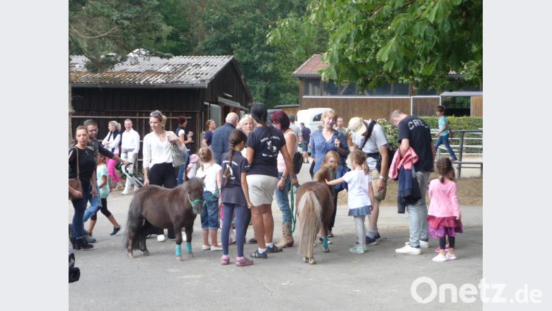 Die Ponys waren sehr beliebt bei den Kindern. Kunz