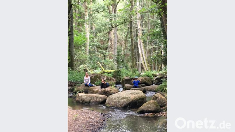 Auf den riesigen Steinen im Lerautal zu hüpfen macht Spaß. dob