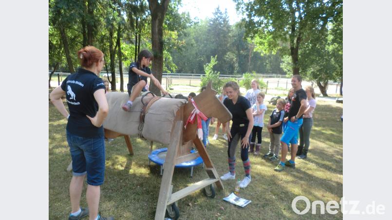 Auch wenn es sich nur um ein Holzpferd handelt, so ist es gar nicht so einfach, bei den Voligierübungen das Gleichgewicht zu halten. luk