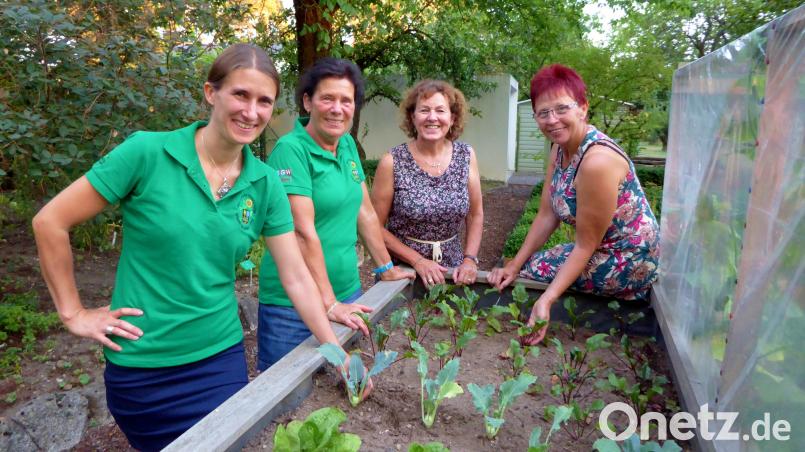 Diese vier Damen wollen sich um die Kindergruppe im Obst- und Gartenbauverein kümmern. hcz