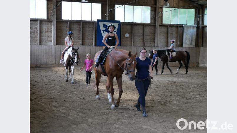 Keine Angst vor großen Tieren haben die Kinder bei ihrem Besuch beim Reiterclub Weiden. Dank der Mädchen des Vereins, die die Pferde führen, sitzen die jungen Gäste schon recht sicher im Sattel. exb