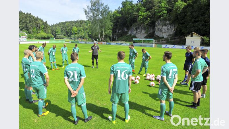 Trainer Dominik Haußner (Mitte hinten) und sein Rudel: Vom Jäger zum Gejagten. Ziegler