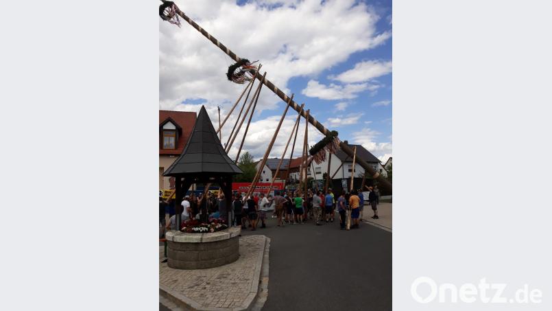 34 Meter hoher Kirwabaum exb