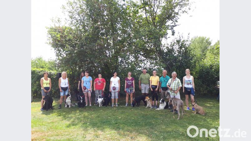 Alle Hunde bestanden die Prüfung unter Leitung der Regierungsbeauftragten der Oberpfalz für das Jagdhundewesen, Ute Ehebauer. exb