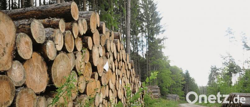 Riesige Holzstöße lagern derzeit im Breitenbrunner Tal neben der Forststraße. Bild: ge