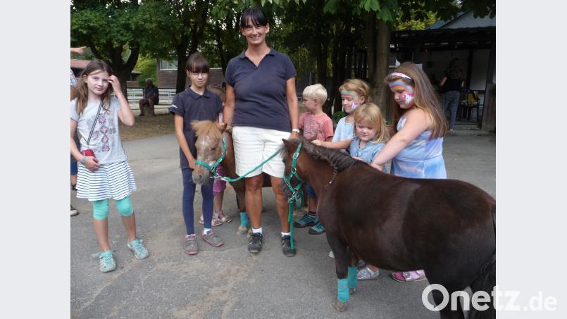 Die Ponys waren sehr beliebt bei den Kindern. Kunz