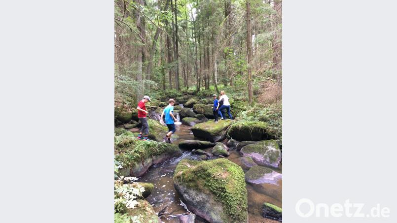 Auf den riesigen Steinen im Lerautal zu hüpfen macht Spaß. dob