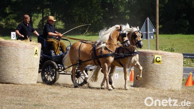 Karl Kastner lotst seine Haflinger geschickt mit der zweispannigen Kutsche durch den Parcours. Auch zu sehen auf dem Bild ist Vorsitzender Martin Kastner, der seinen Kameraden auf der Kutsche unterstützt. mde