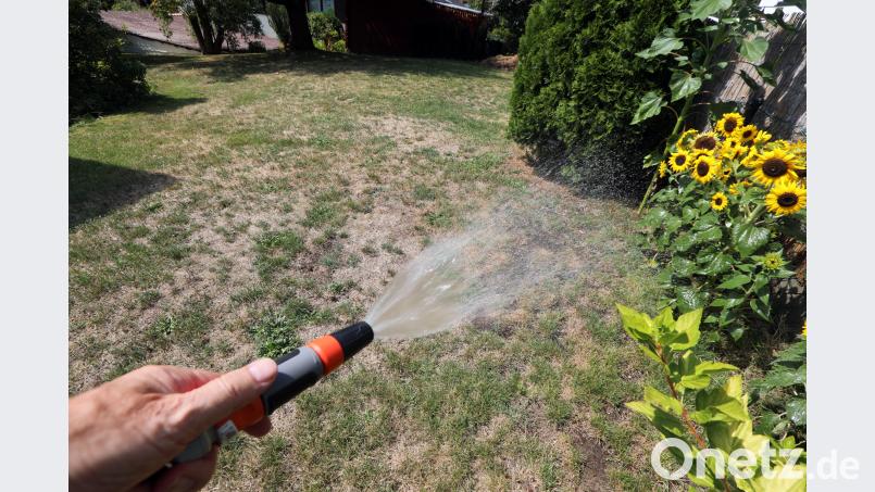 Viel Wasser wäre notwendig, um die ausgetrockneten Gärten wieder in einem satten Grün leuchten zu lassen. Gerhard Götz
